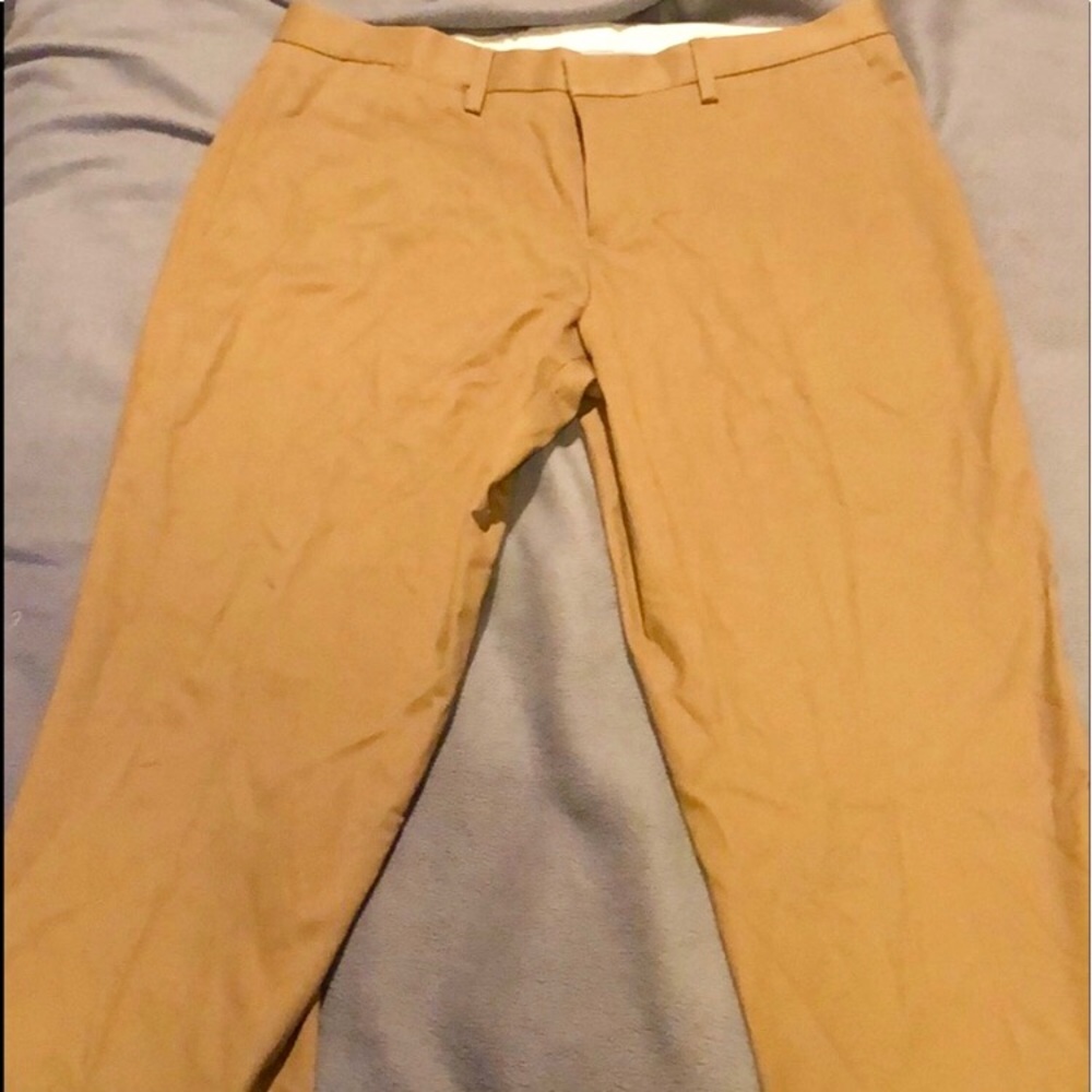 Express Tan Pants